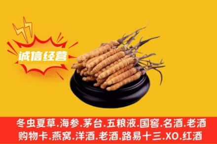 伊犁乌苏市回收冬虫夏草